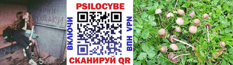 Галлюциногенные грибы Magic Shrooms  Брюховецкая 